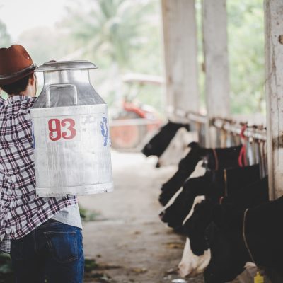 agriculture industry, farming, people and animal husbandry concept - young man or farmer with bucket walking along cowshed and cows on dairy farm